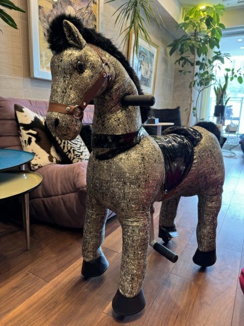 エコポニー 世界にひとつのスペシャルバージョン | ラングスジャパン